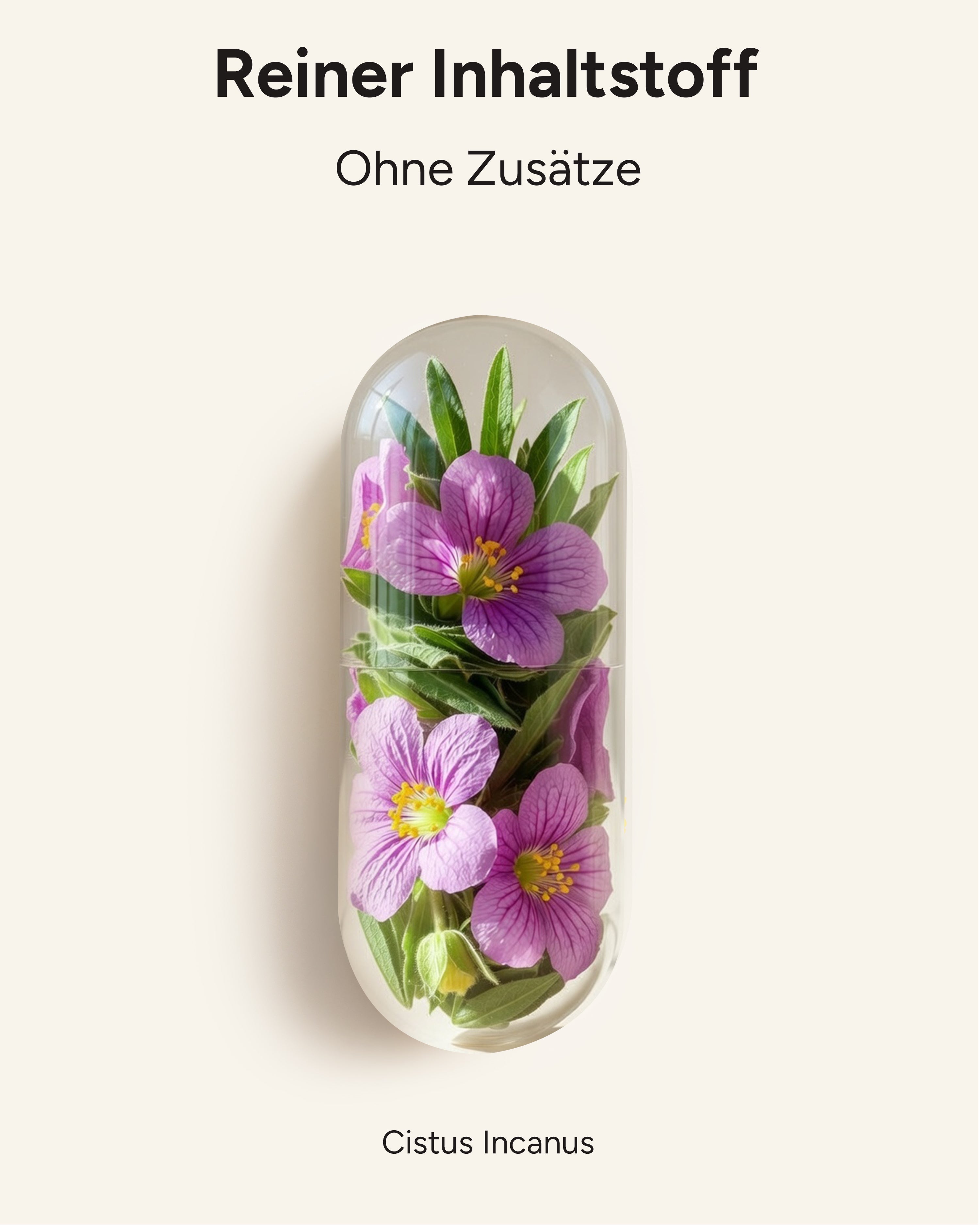 Cistus Incanus - 1.000mg pro Tag