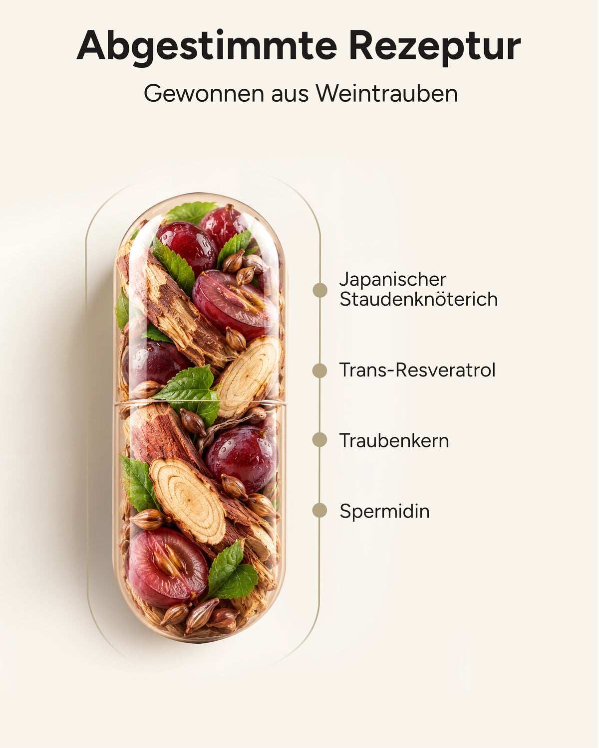 Spermidin-Resveratrol - 6mg Spermidin mit 800mg Trans-Resveratrol pro Tag