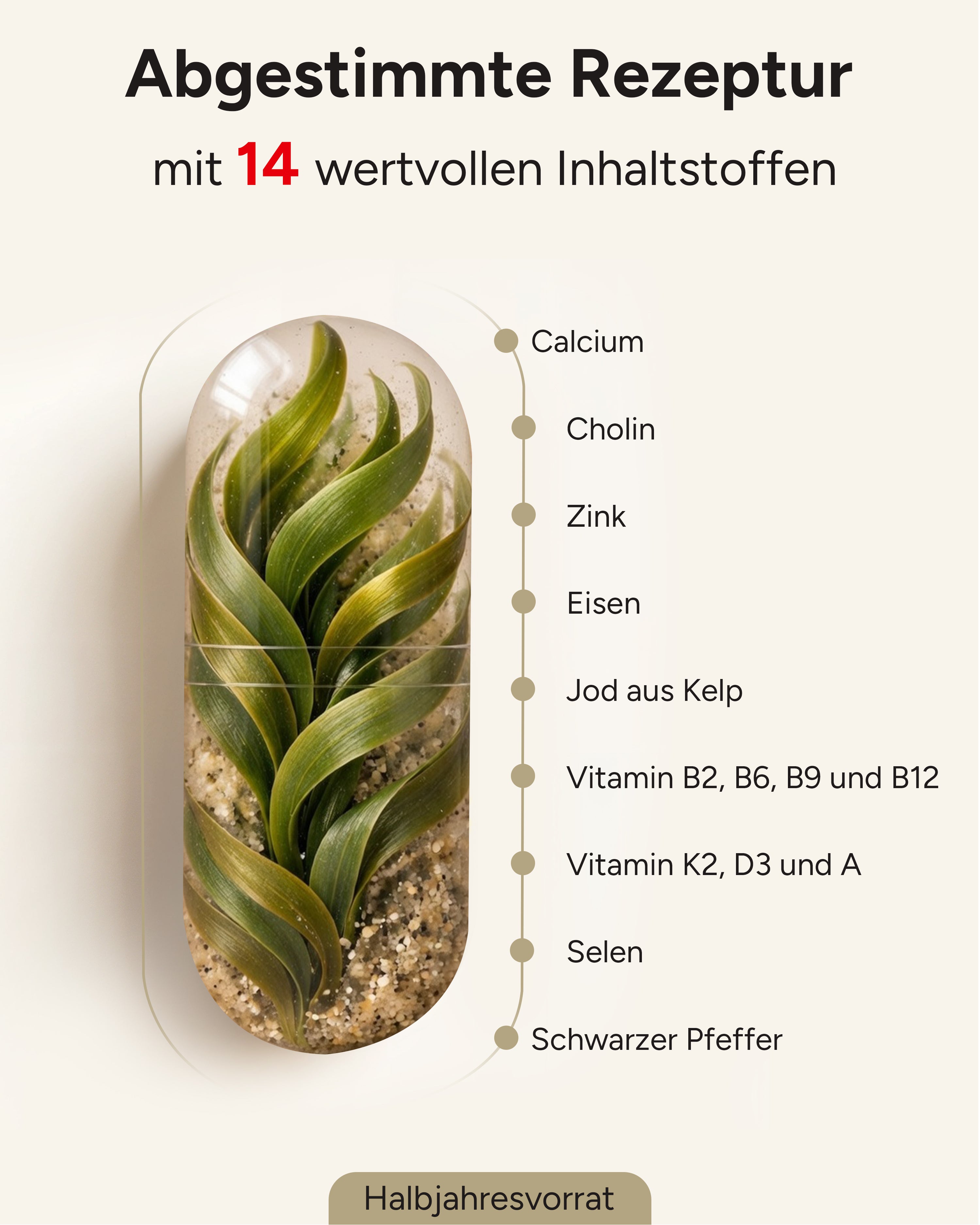 Vegan All In One - Vitamin Komplex mit B12, D3, K2