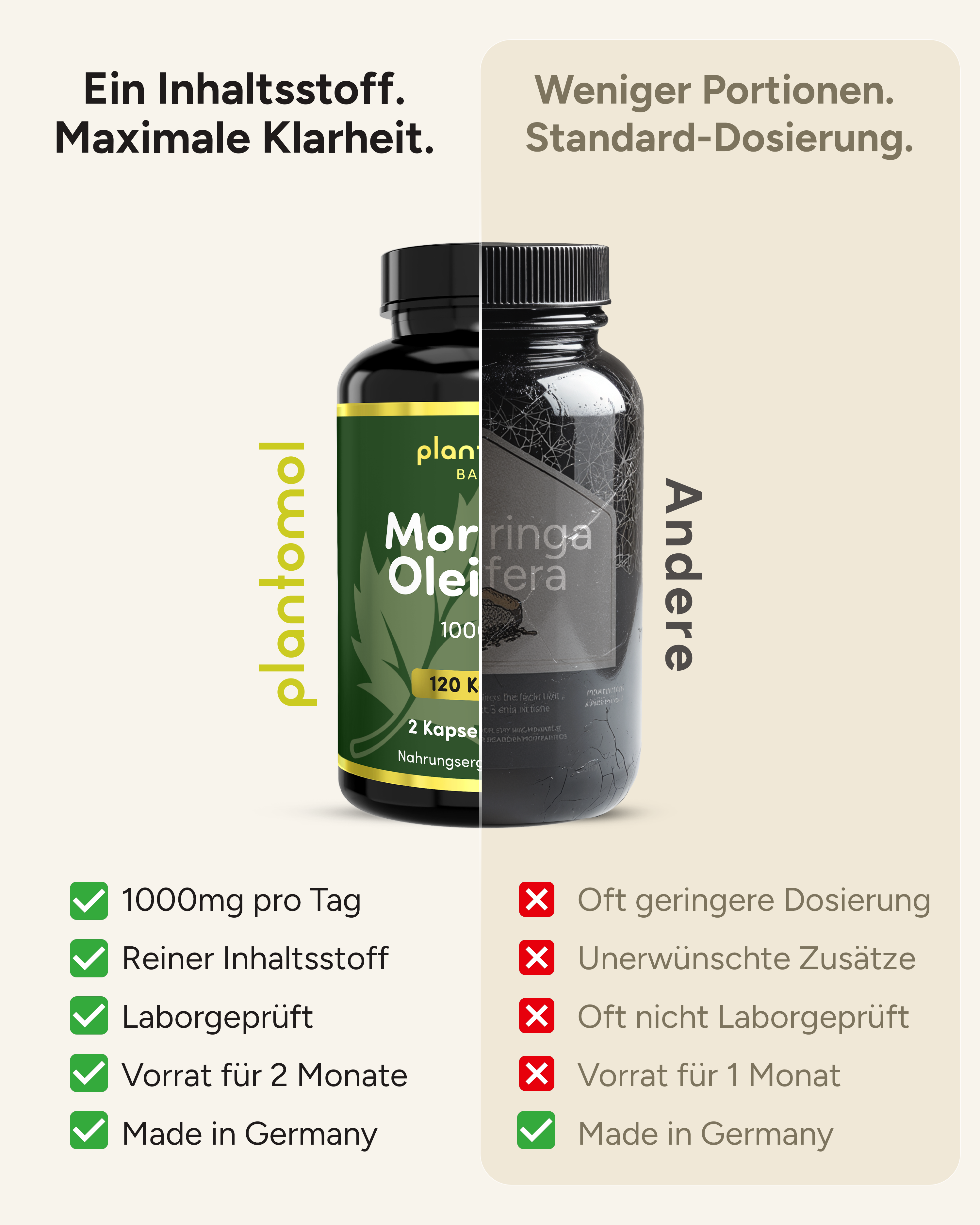 Moringa Oleifera - 1000mg pro Tag