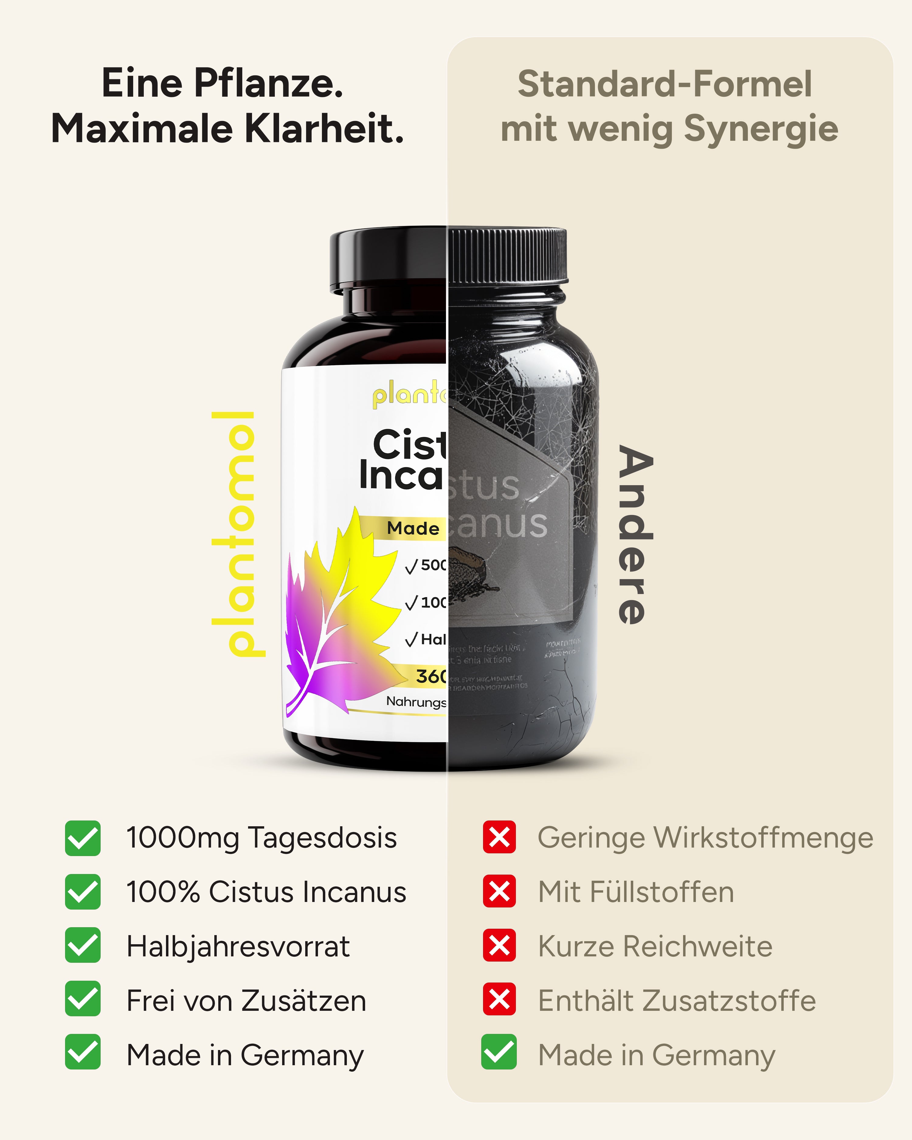 Cistus Incanus - 1.000mg pro Tag
