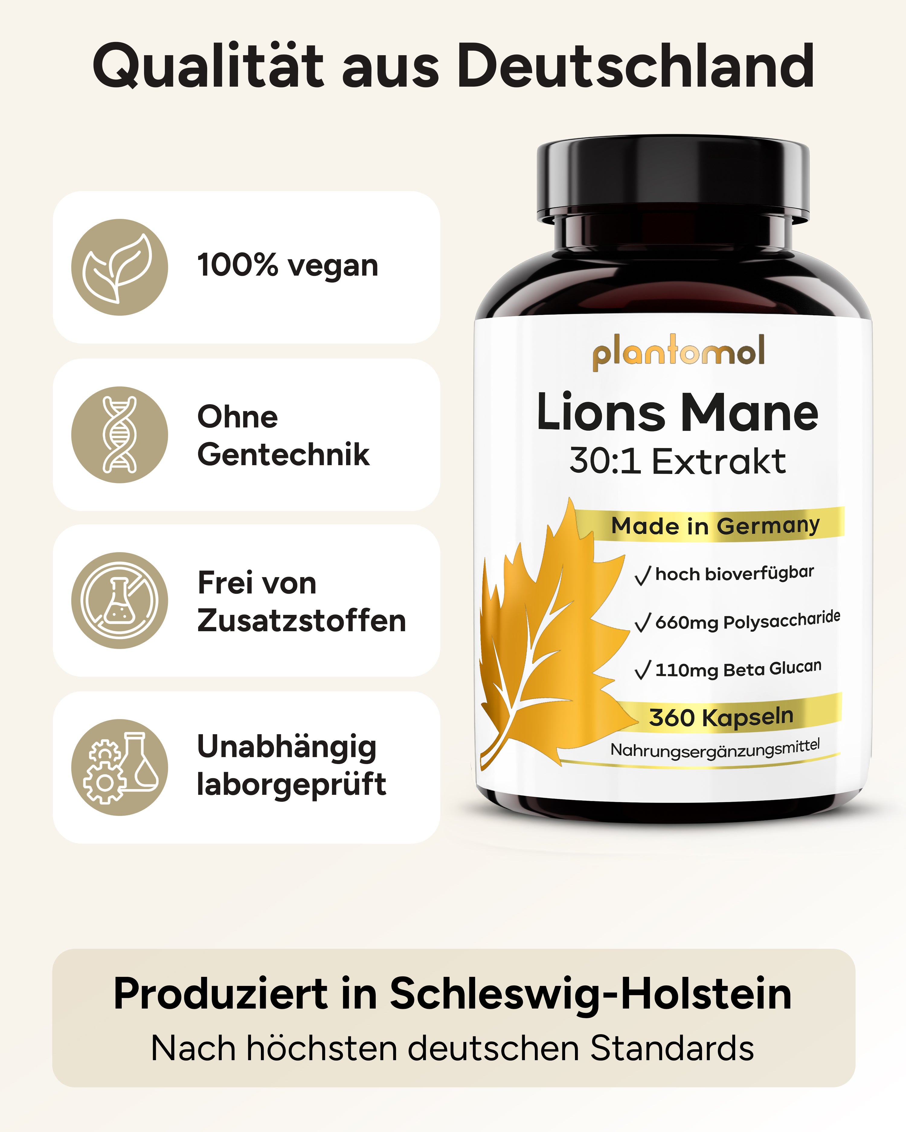 Lions Mane - Löwenmähnenpilz 30:1 Extrakt