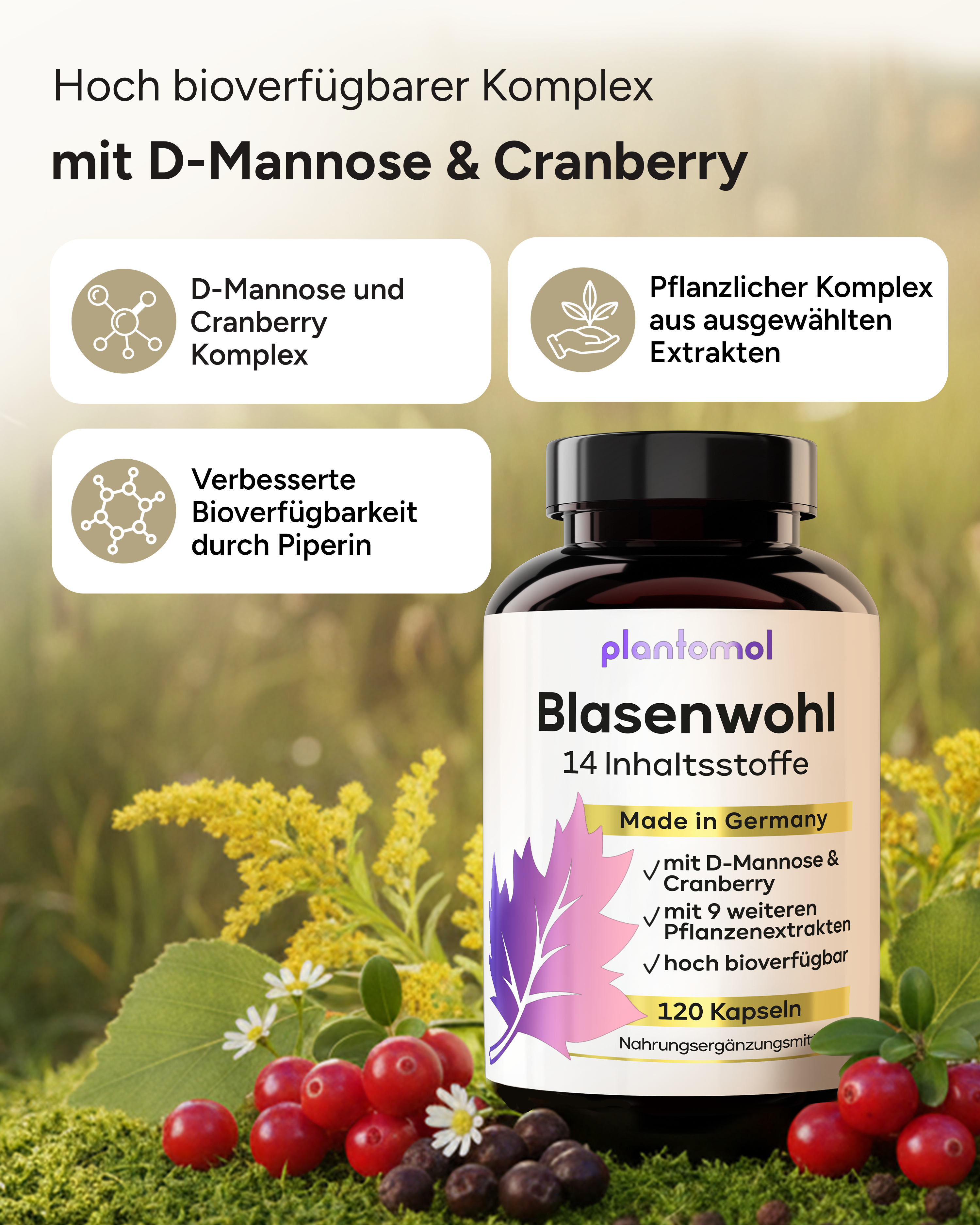 Blasenwohl - D-Mannose und Cranberry-Extrakt