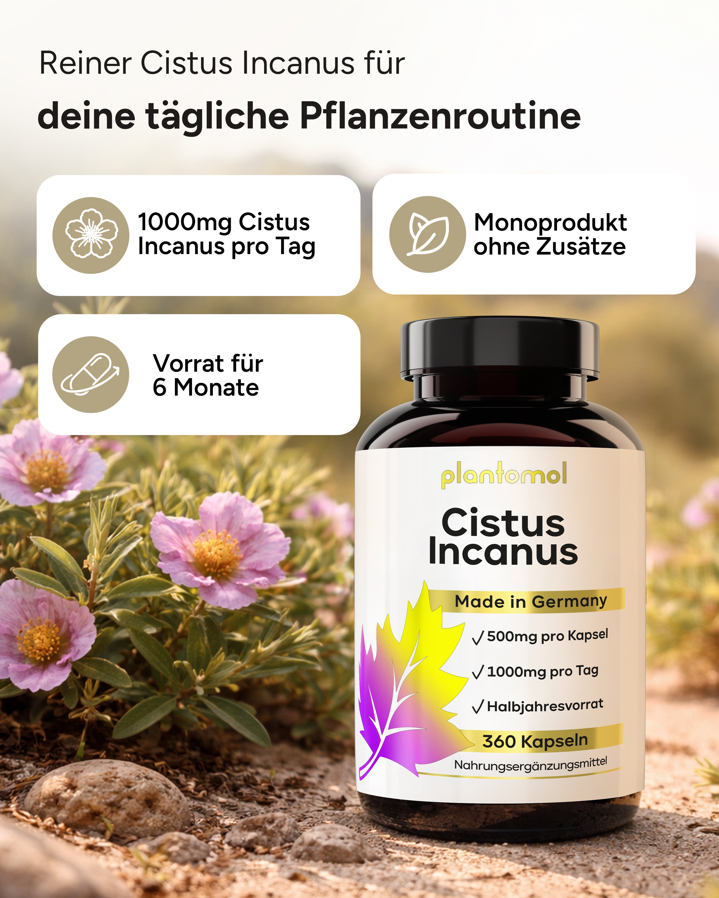 Cistus Incanus - 1.000mg pro Tag