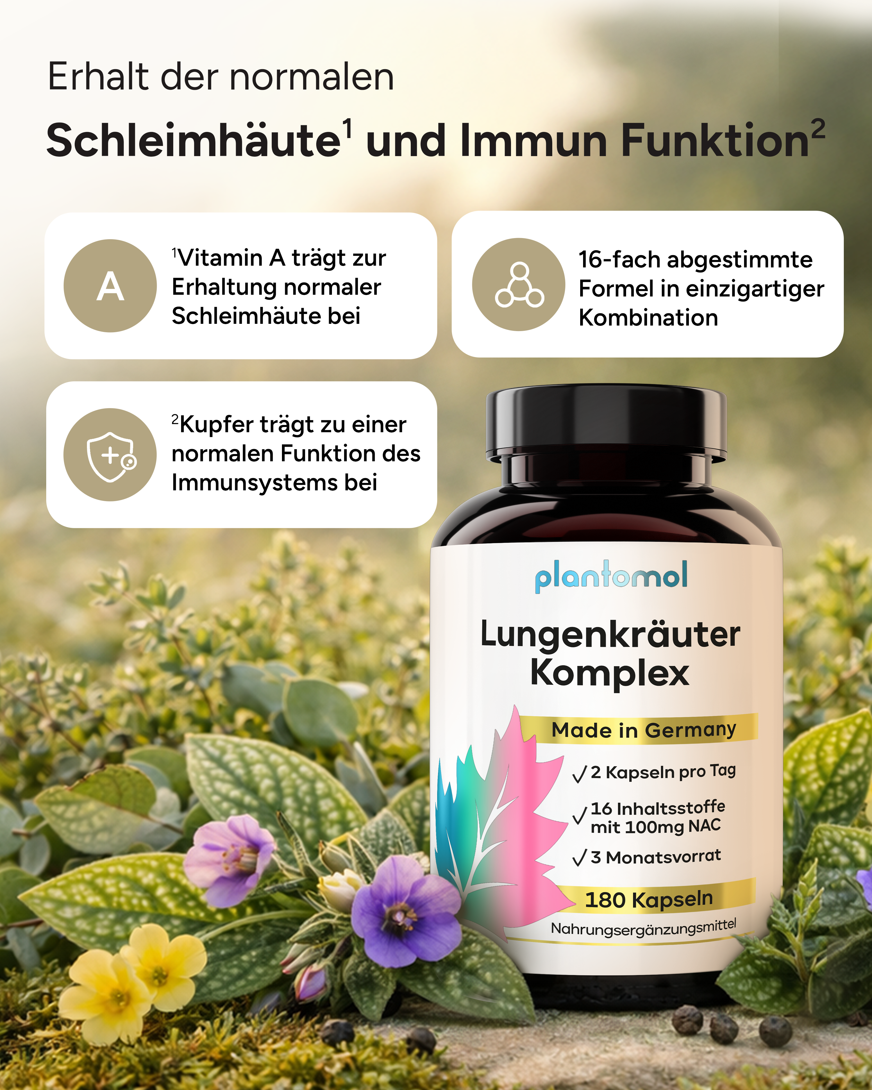 Lungenkräuter Komplex - 16 Inhaltstoffe, optimiert mit NAC