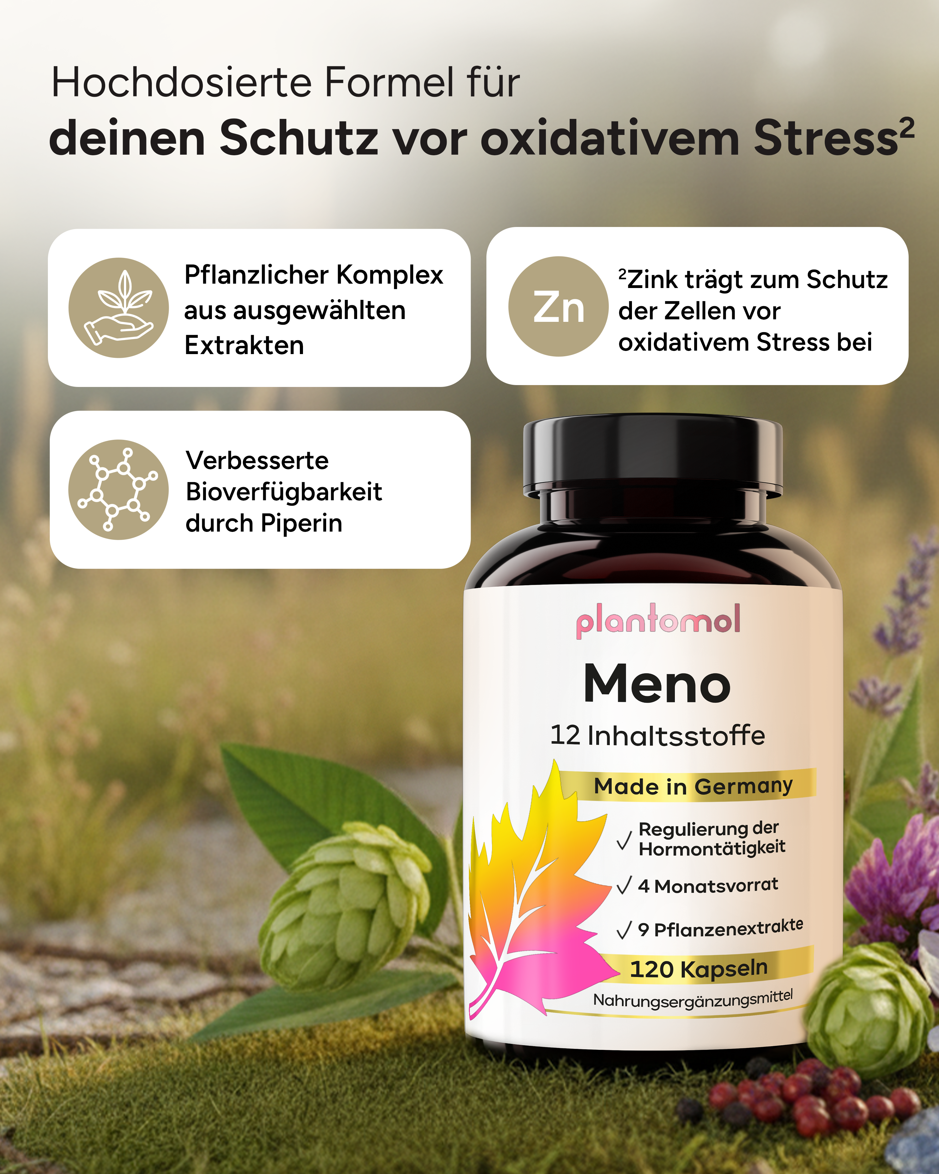 Meno Vitalkomplex - 12 abgestimmten Inhaltsstoffen