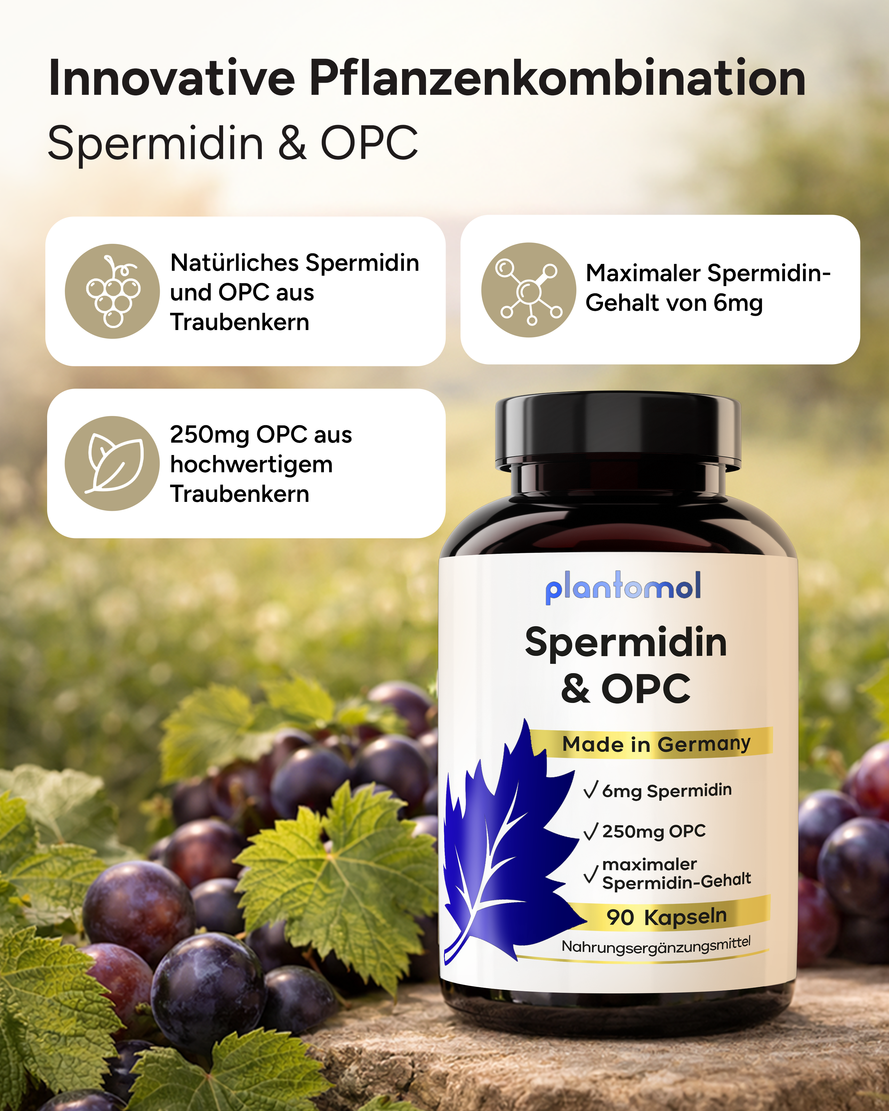 Spermidin-OPC - 6mg Spermidin mit 250mg OPC pro Kapsel
