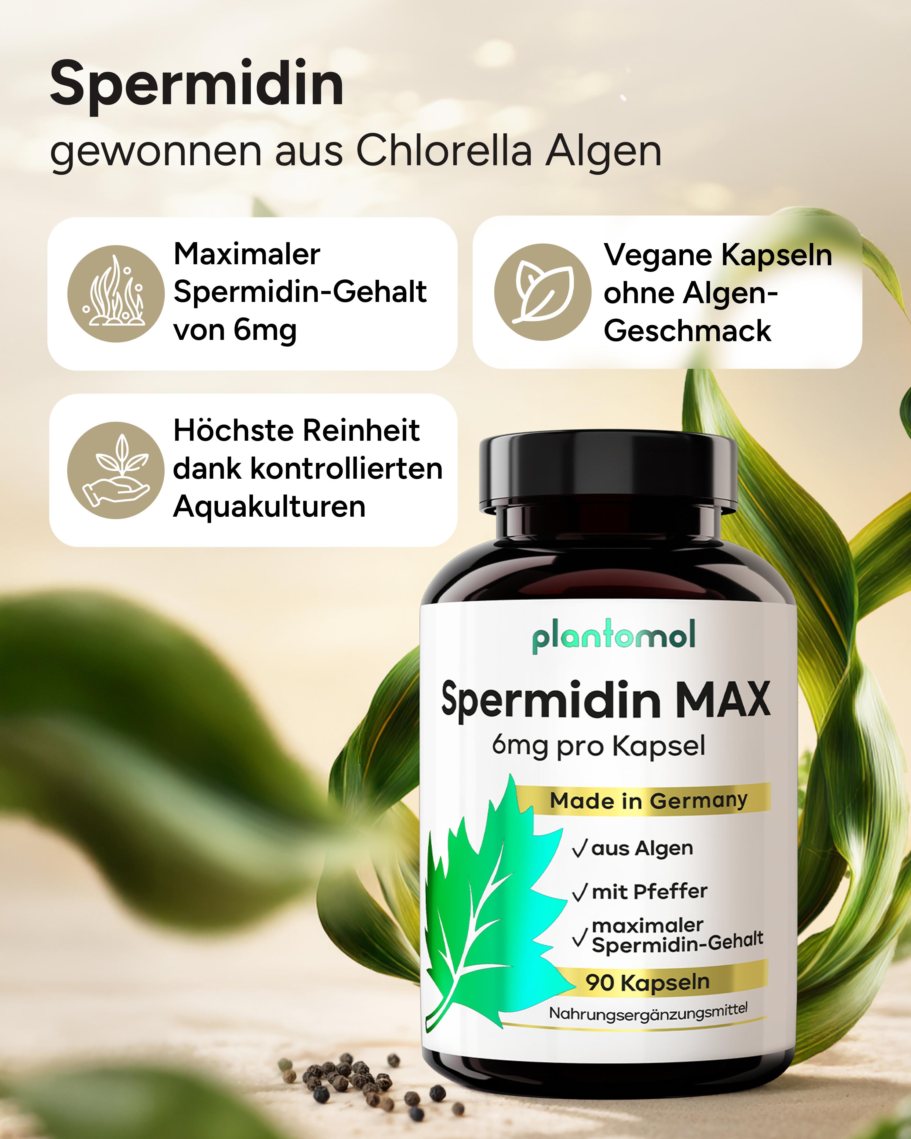 Spermidin MAX - 6mg pro Kapsel, mit Pfeffer