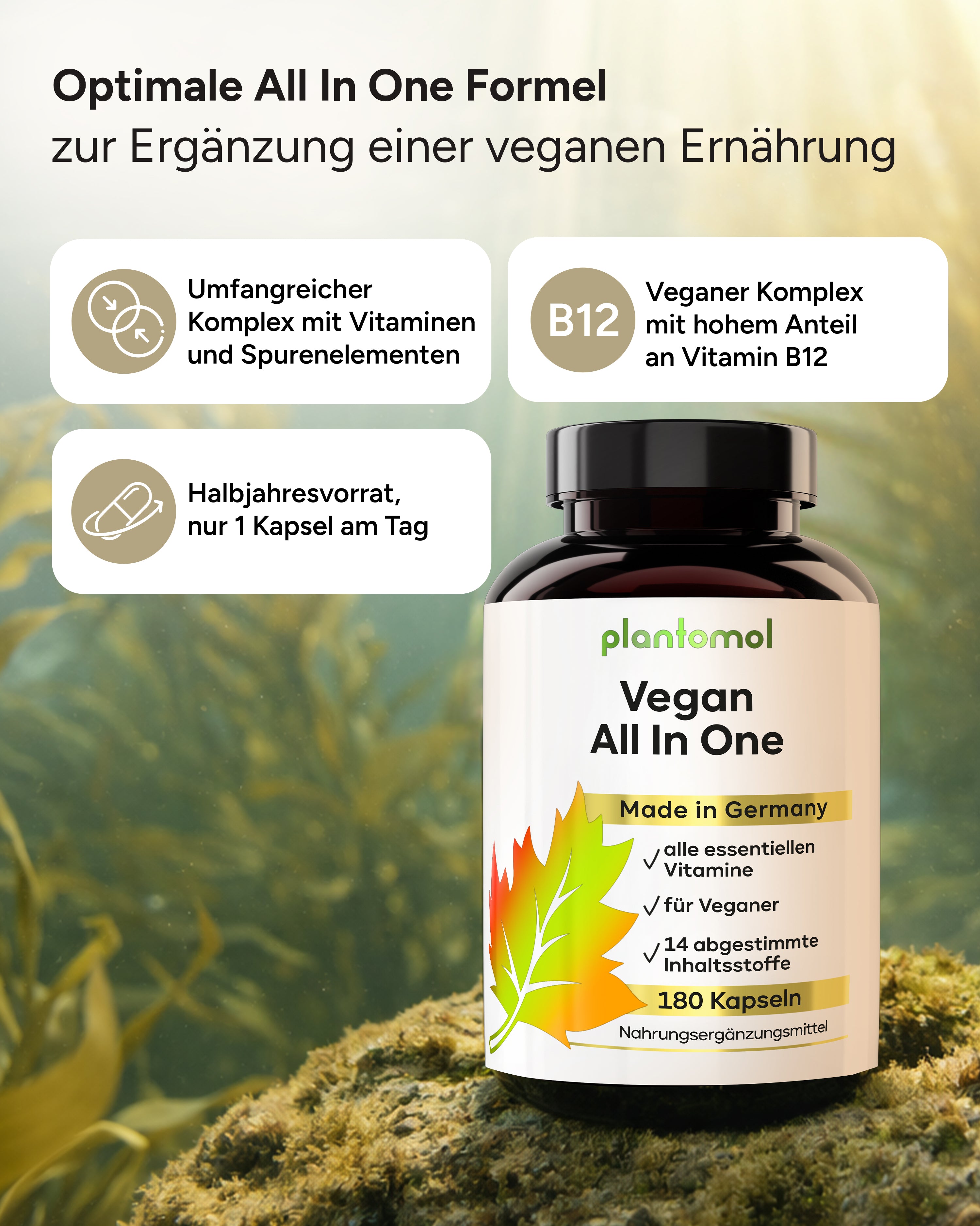 Vegan All In One - Vitamin Komplex mit B12, D3, K2