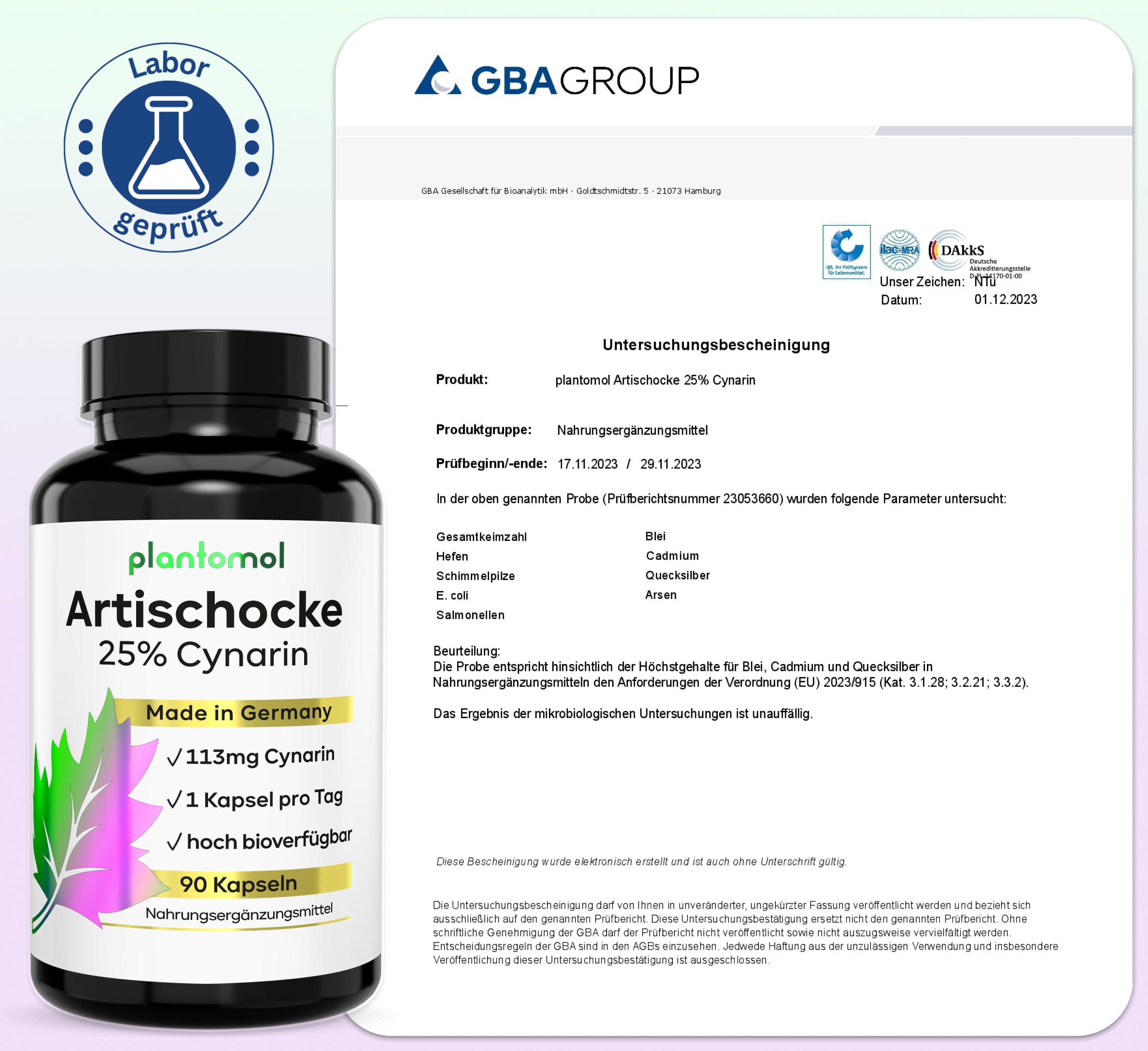 Artischocken-Extrakt - 113mg Cynarin pro Kapsel