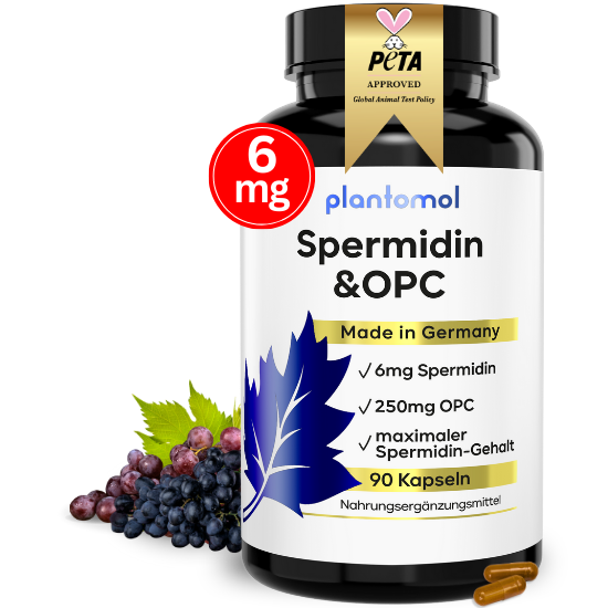 Spermidin und OPC Kapseln