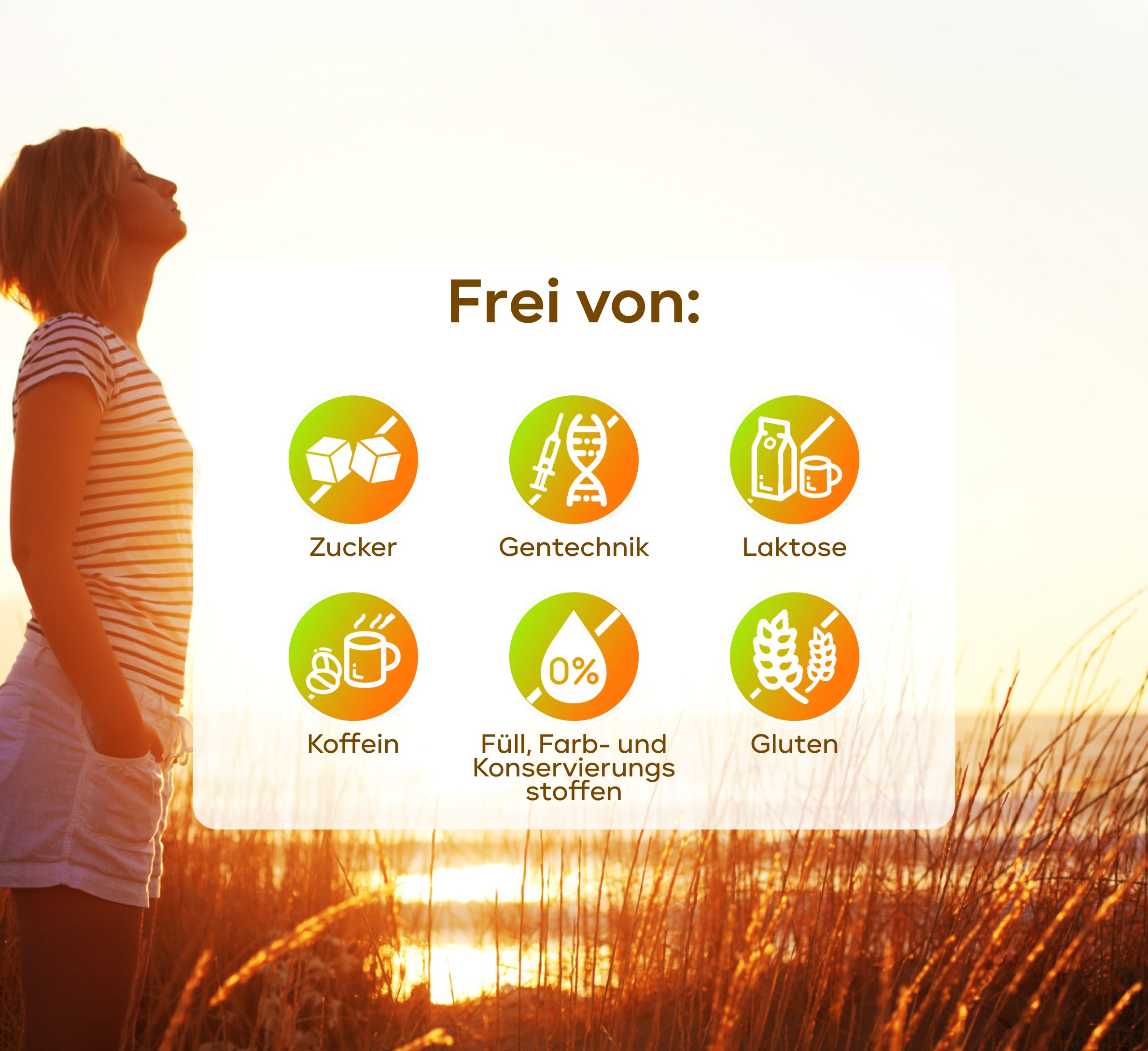 Vegan All In One - Vitamin Komplex mit B12, D3, K2