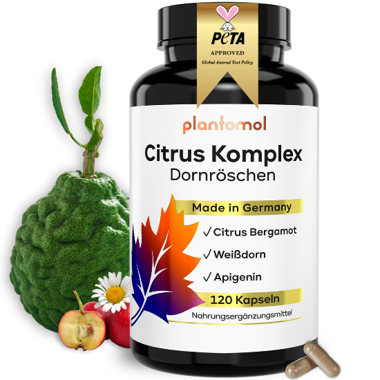 Citrus Komplex - Abendroutine mit 100mg Apigenin und 250mg Polyphenole pro Tag