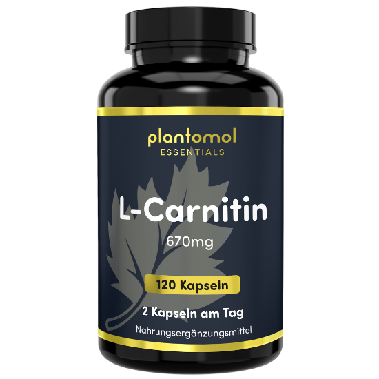 L-Carnitin - 1000mg pro Tag