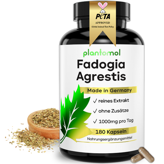 Fadogia Agrestis