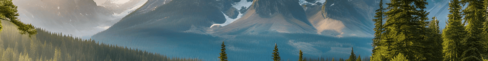 Homepage