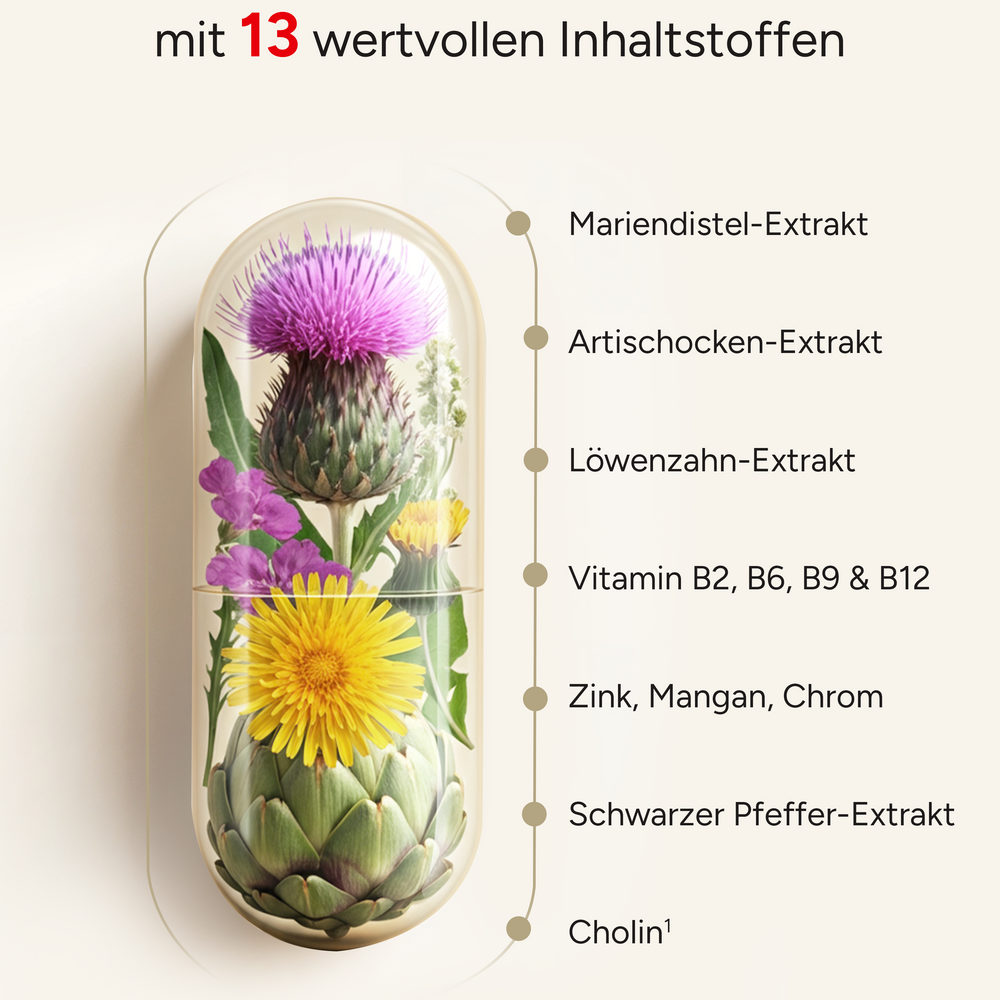 
                      
                        Bitterrein - Leberkapseln mit 13 Inhaltstoffen
                      
                    