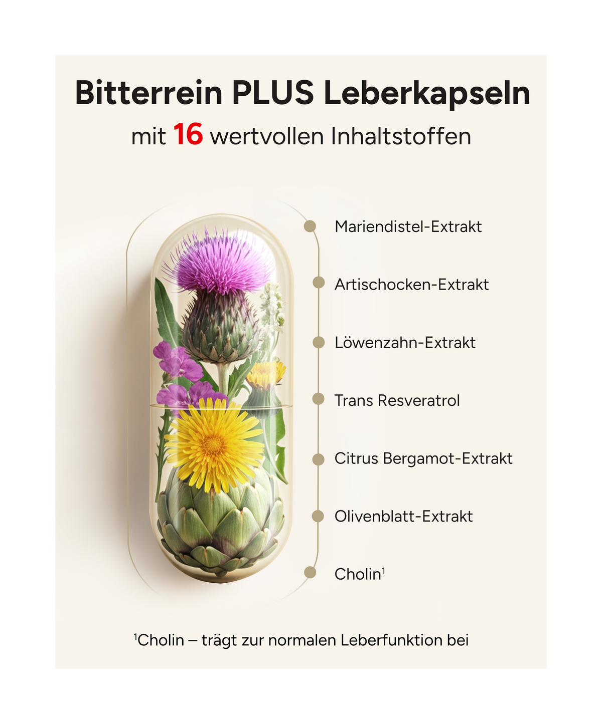 Bitterrein PLUS - Mariendistel, Artischocke und Löwenzahn