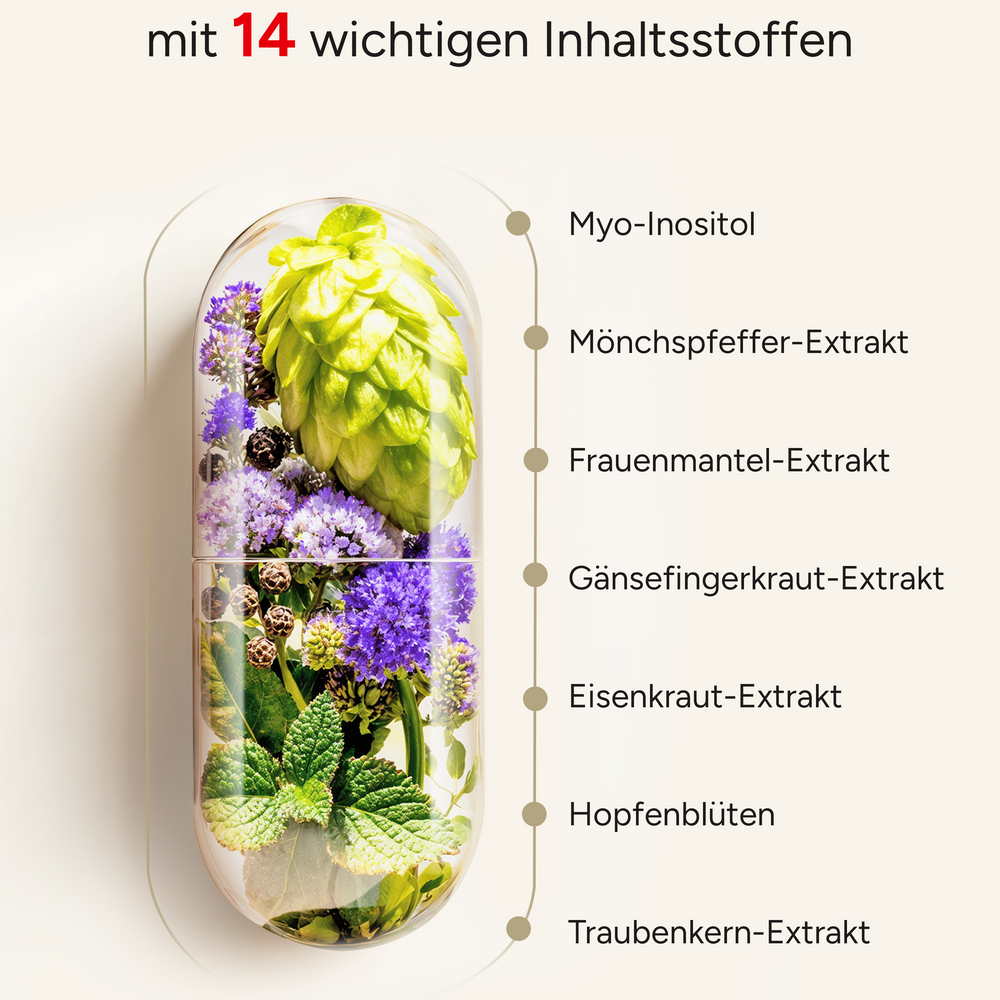 
                      
                        Hormella PMS Komplex - Myo-Inositol, Gänsefingerkraut und OPC
                      
                    