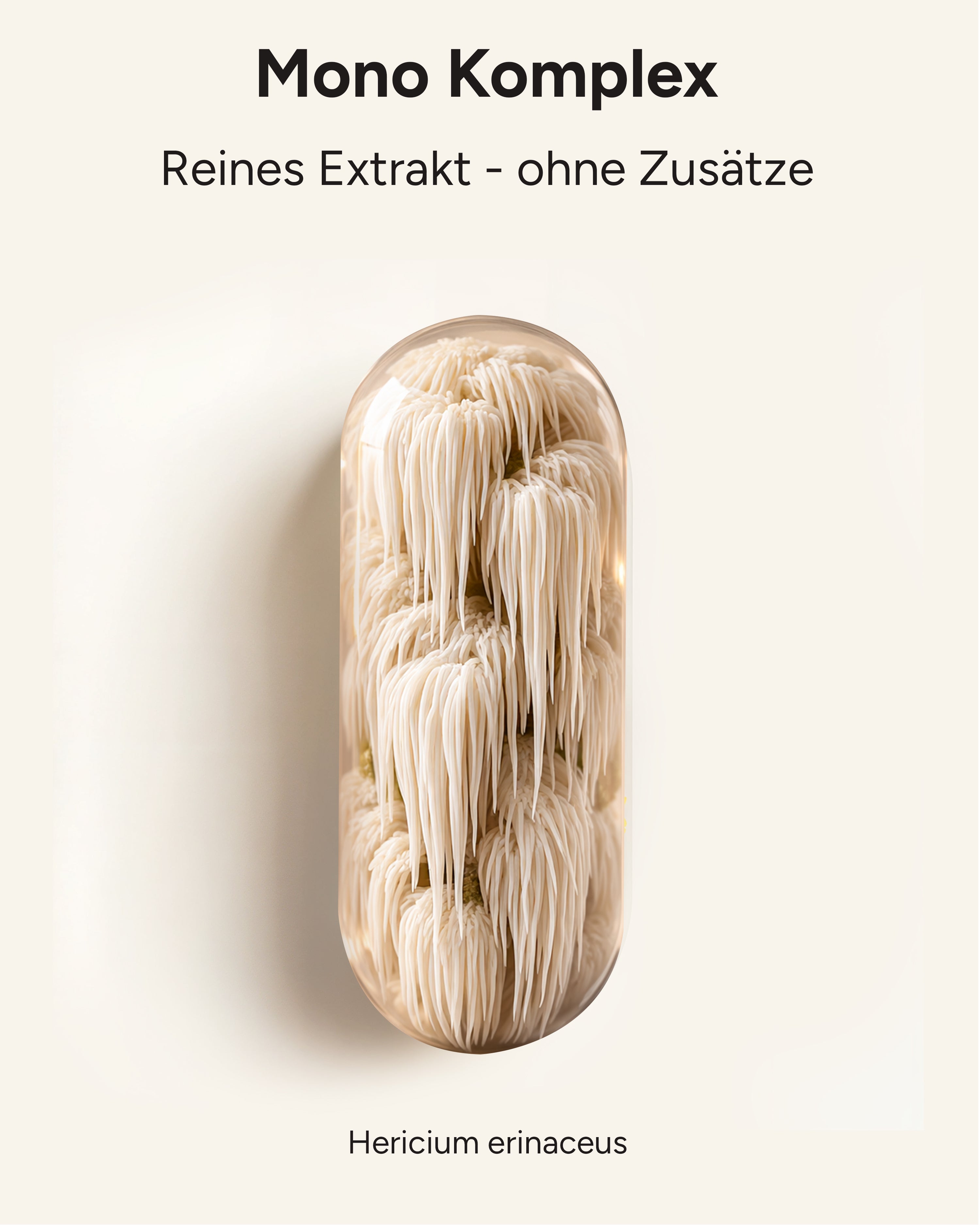 Lions Mane - Löwenmähnenpilz 30:1 Extrakt