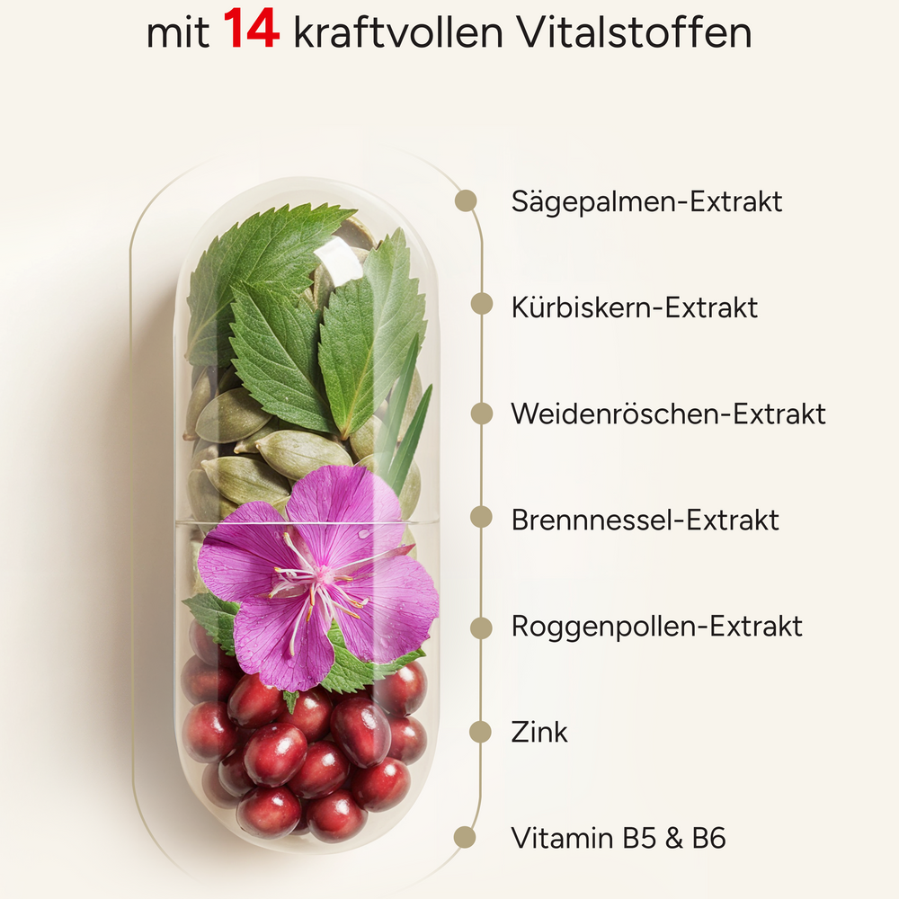 
                      
                        Prosta PLUS - mit Weidenröschen-, Roggenpollen-und Sägepalmen-Extrakt
                      
                    