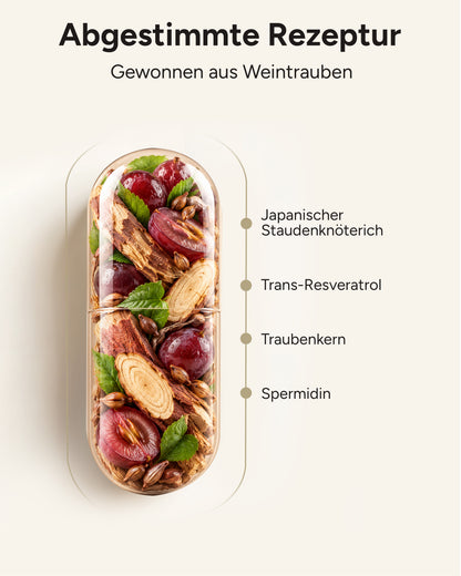 Spermidin-Resveratrol - 6mg Spermidin mit 800mg Trans-Resveratrol pro Tag