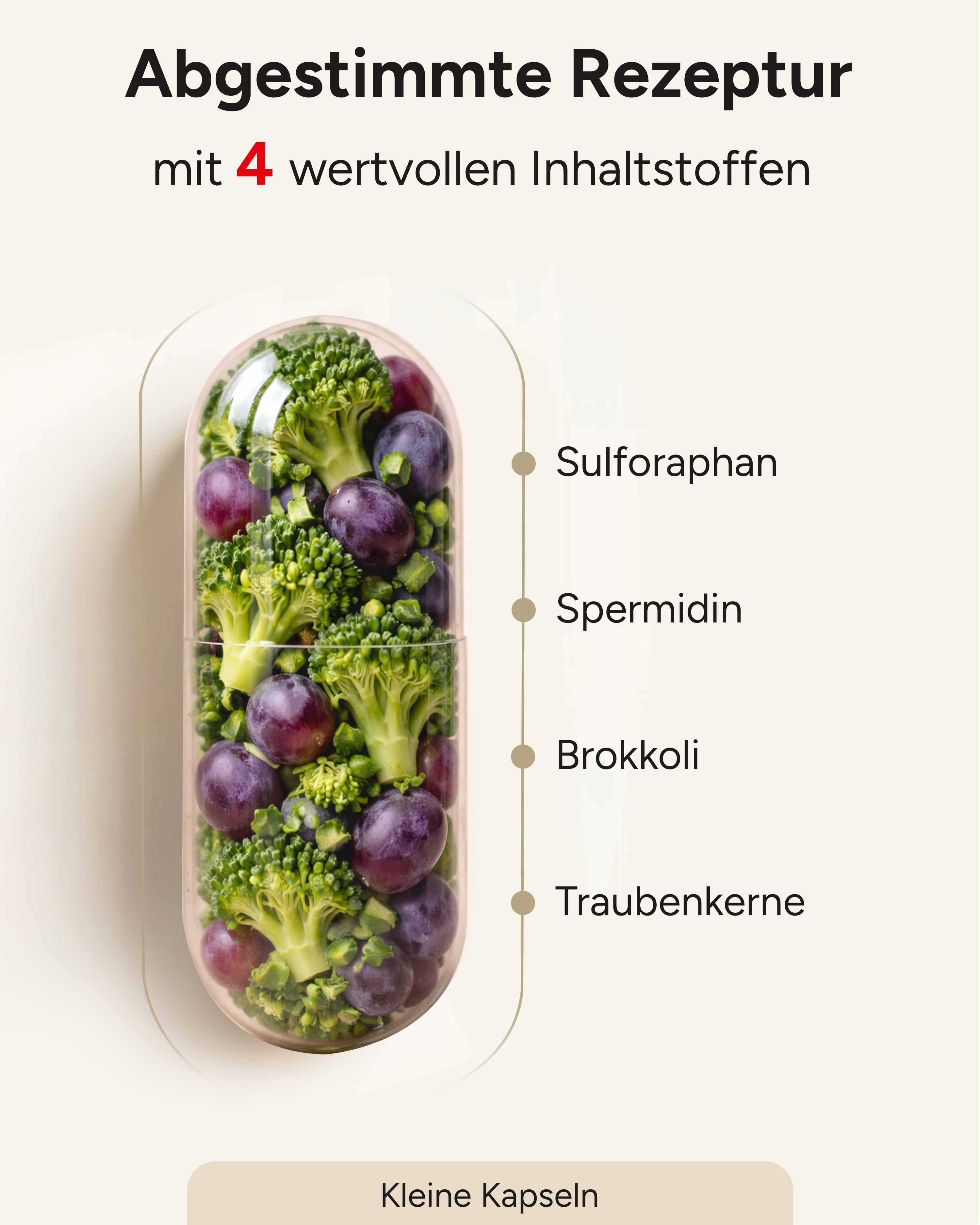 Spermidin-Sulforaphan - 6mg Spermidin mit 70mg Sulforaphan pro Kapsel