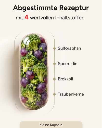 Spermidin-Sulforaphan - 6mg Spermidin mit 70mg Sulforaphan pro Kapsel