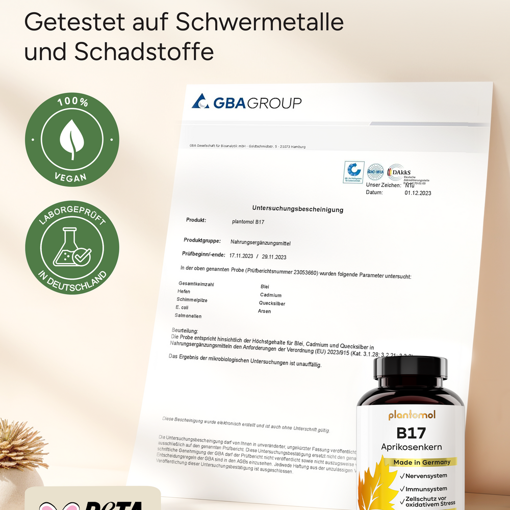 
                      
                        B17 - 1100mg Aprikosenkern-Extrakt pro Tag und Vitamin C
                      
                    