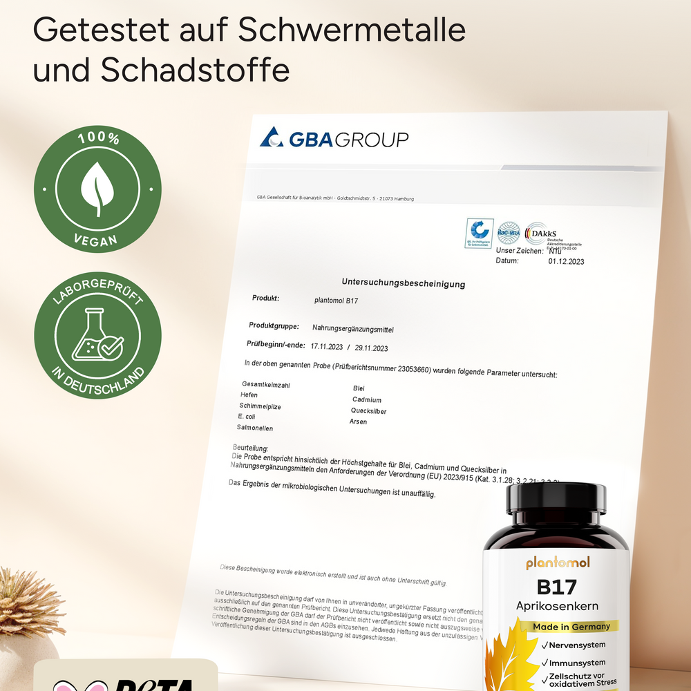 
                      
                        B17 - 1100mg Aprikosenkern-Extrakt pro Tag und Vitamin C
                      
                    