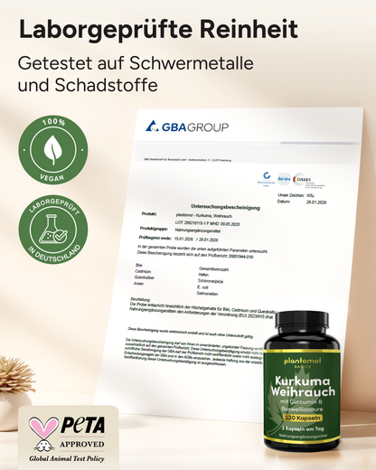 Kurkuma Weihrauch - 330mg Boswellinsäure & 30mg Curcumin pro Tag