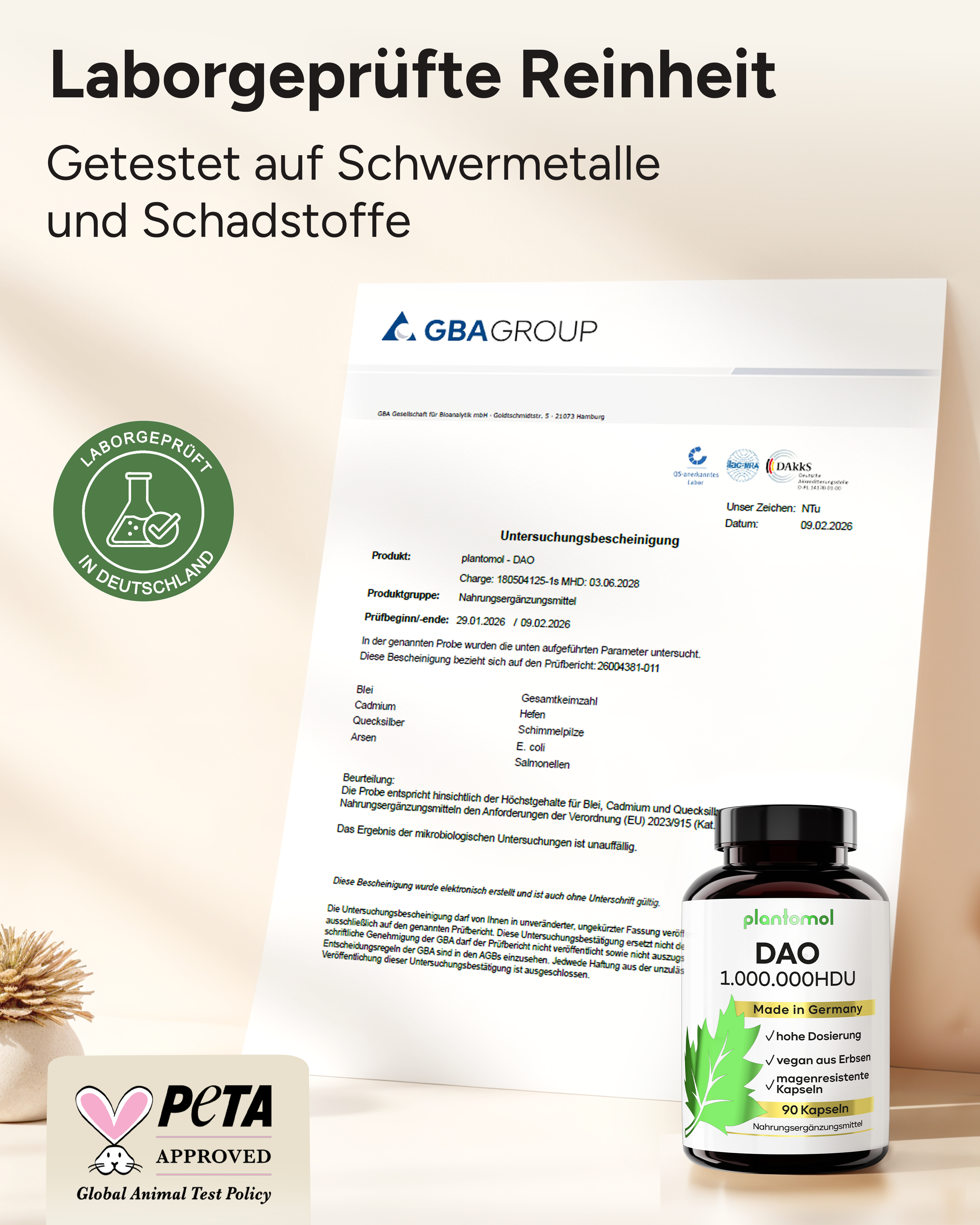 DAO aus Erbsenprotein - 1 Mio. HDU pro Kapsel