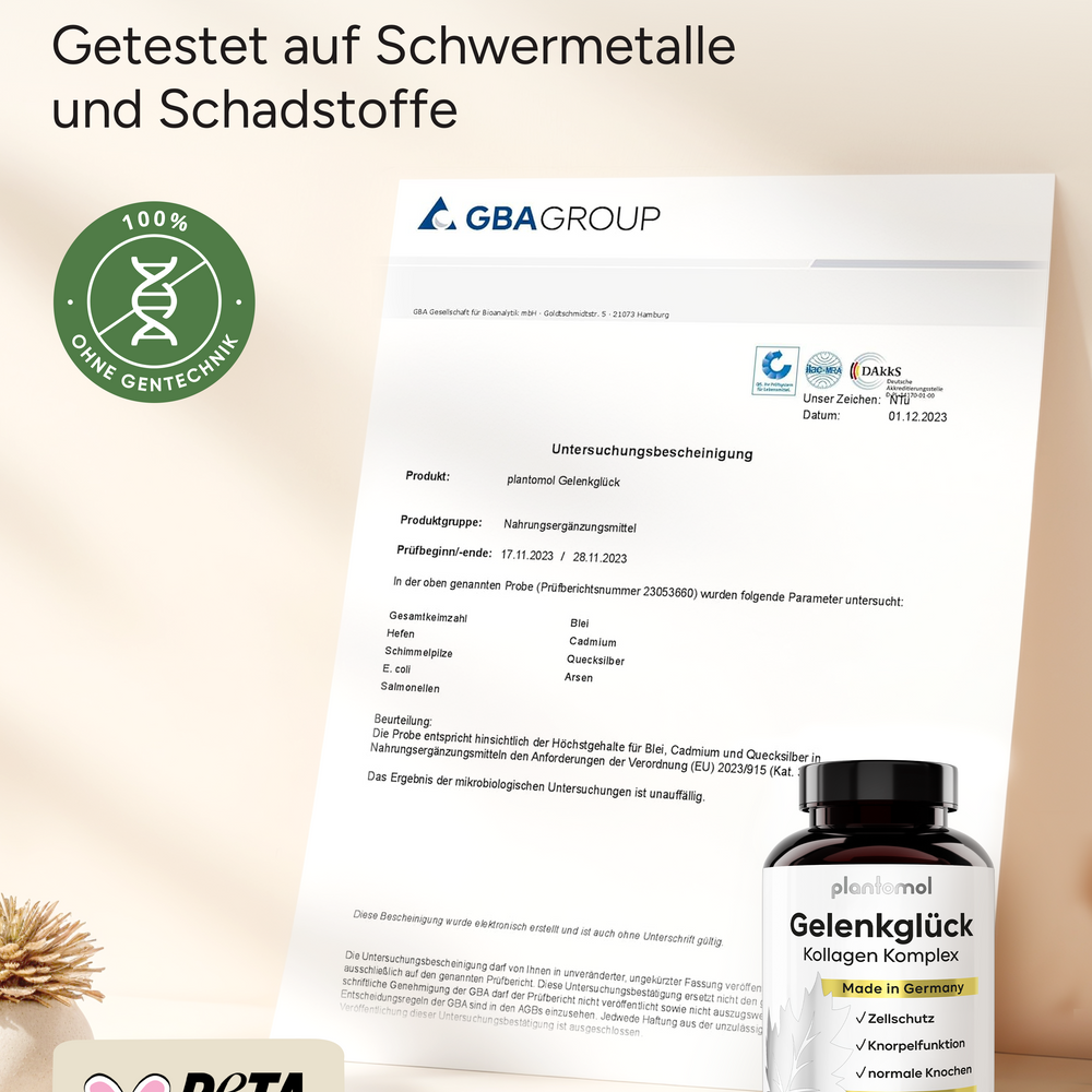 
                      
                        Gelenkglück - Kollagen & Hyaluron Komplex
                      
                    