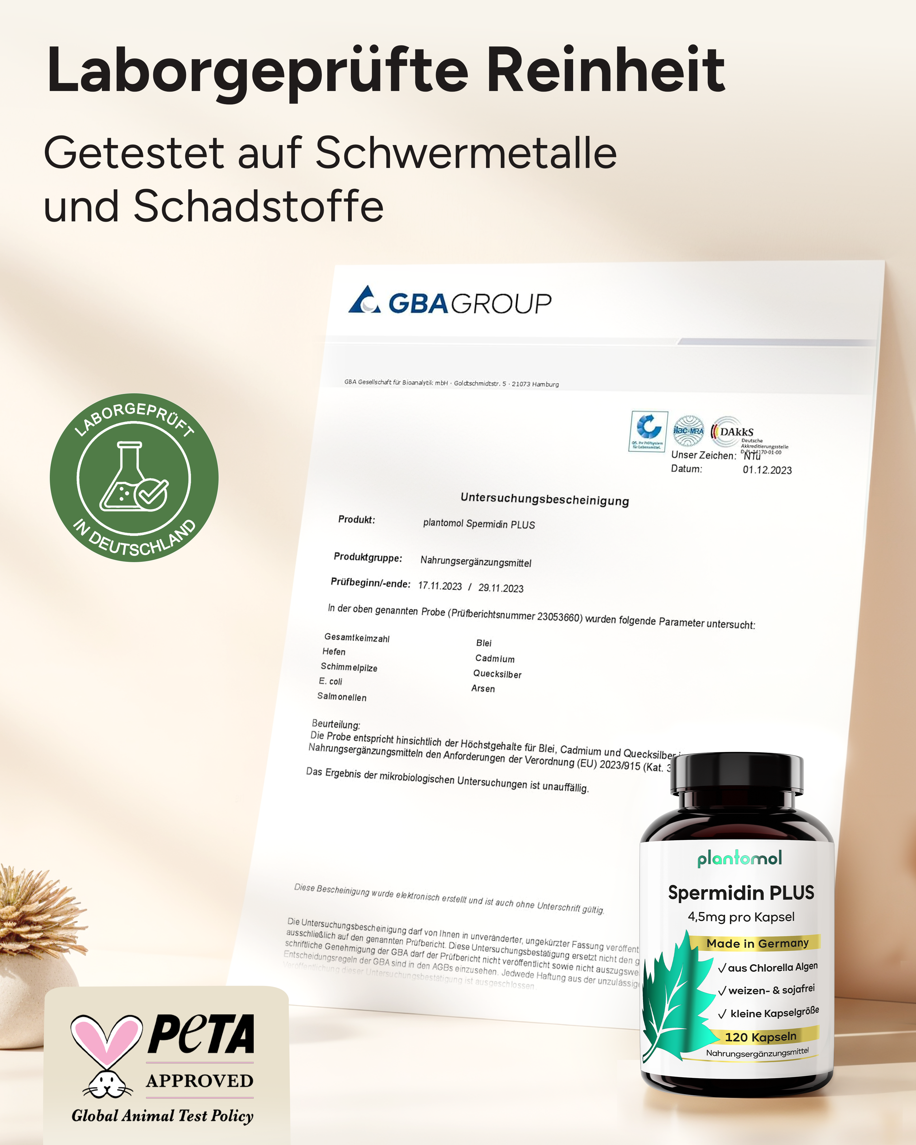 Spermidin PLUS - 4,5mg Spermidin pro Kapsel