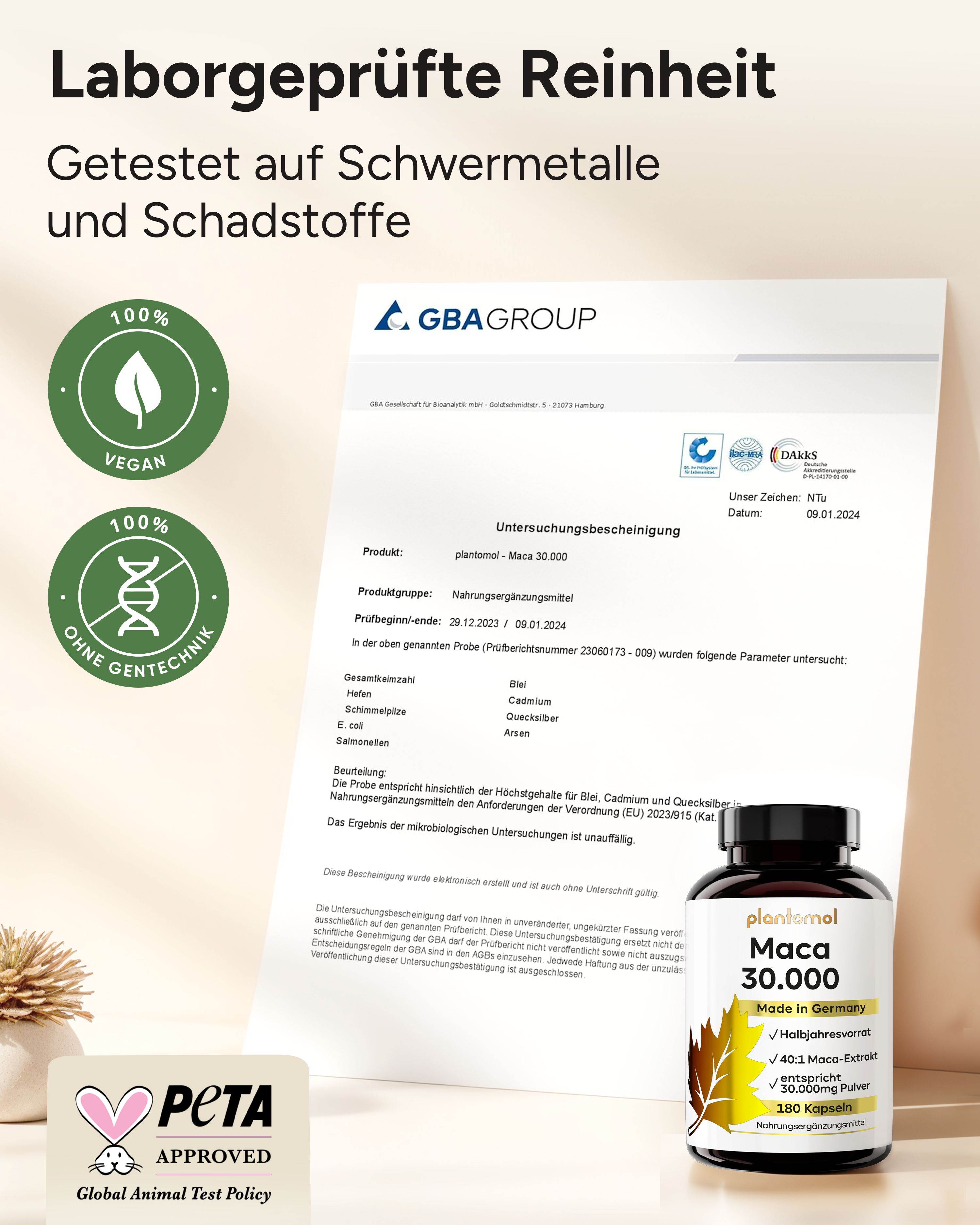 Maca 30.000 - 750mg Maca 40:1 Extrakt pro Kapsel