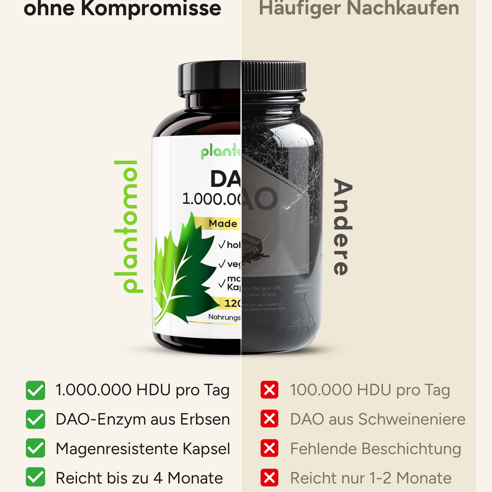 
                      
                        DAO 1 Mio. HDU - aufgeteilt in 3 Kapseln
                      
                    