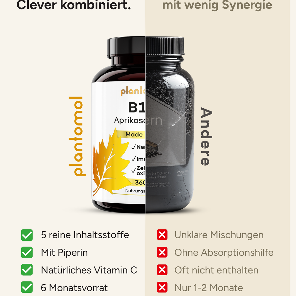
                      
                        B17 - 1100mg Aprikosenkern-Extrakt pro Tag und Vitamin C
                      
                    