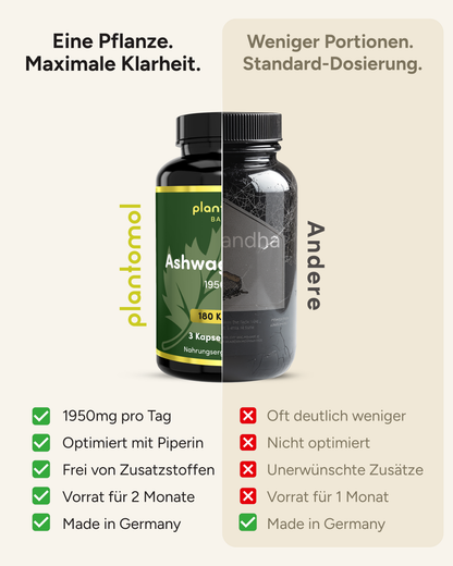 Ashwagandha - 1950mg pro Tag