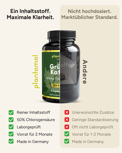 Grüner Kaffee - 500mg Chlorogensäure pro Tag