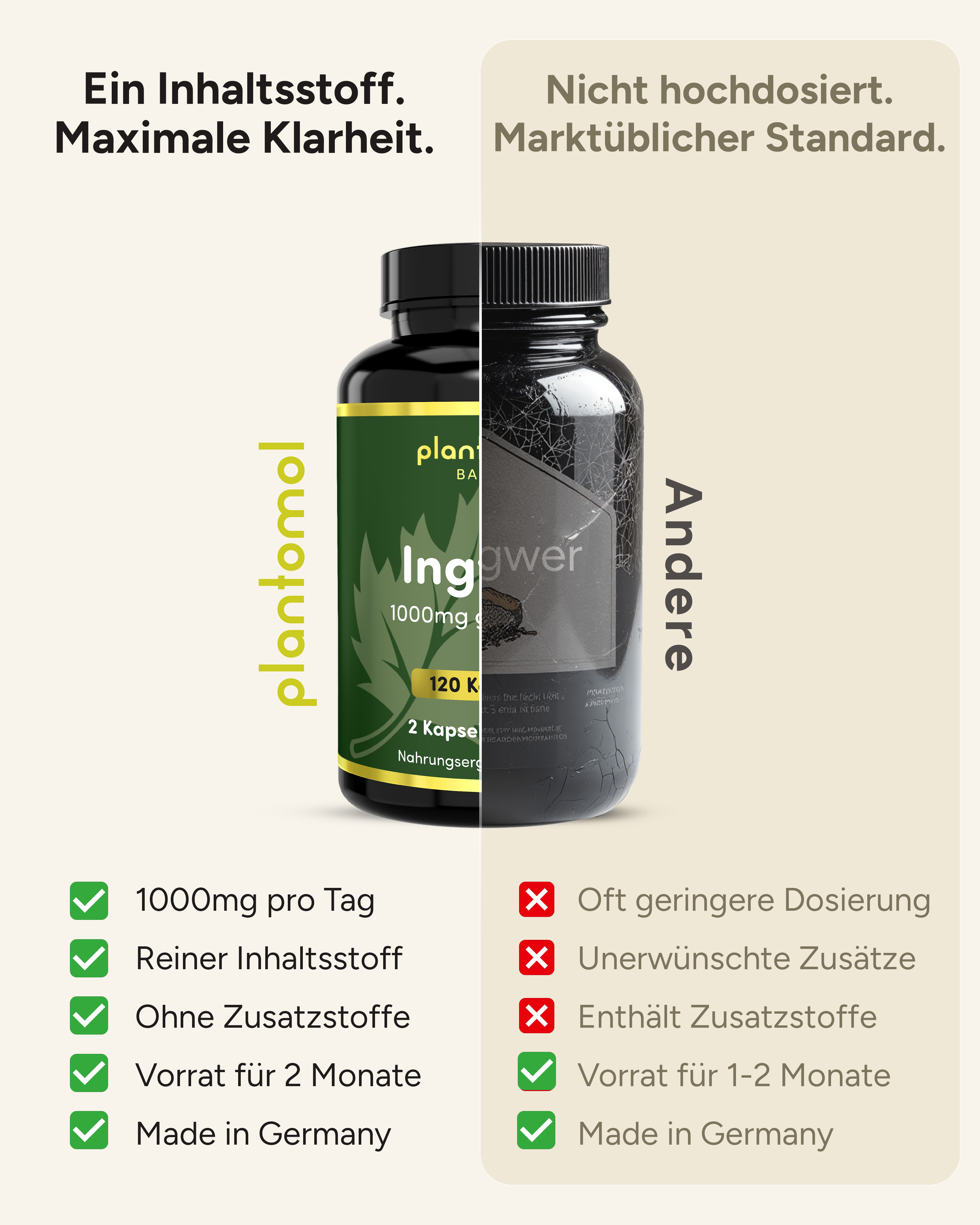 Ingwer - 1000mg pro Tag