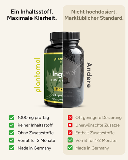 Ingwer - 1000mg pro Tag