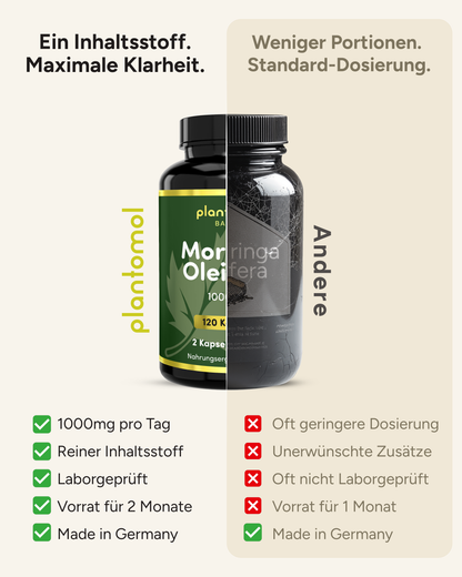Moringa Oleifera - 1000mg pro Tag