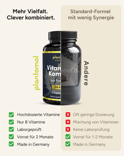 Vitamin B-Komplex - aus 1000mg Buchweizenextrakt