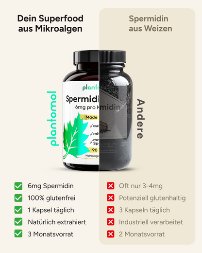 Spermidin MAX - 6mg pro Kapsel, mit Pfeffer
