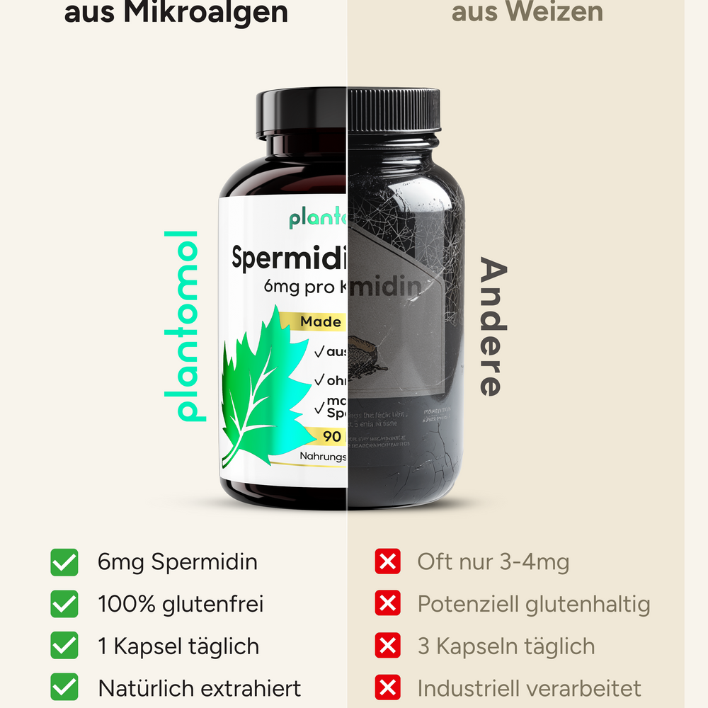 
                      
                        Spermidin MAX - 6mg pro Kapsel, ohne Pfeffer
                      
                    