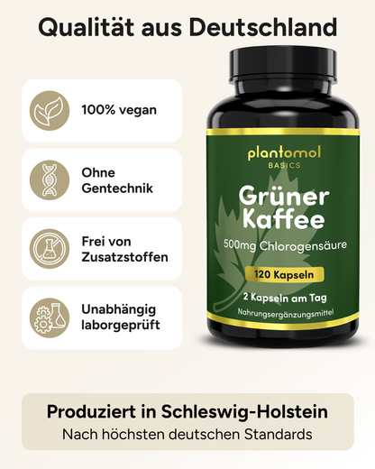Grüner Kaffee - 500mg Chlorogensäure pro Tag