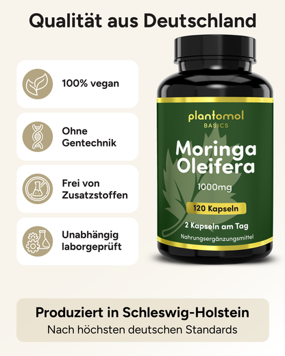 Moringa Oleifera - 1000mg pro Tag