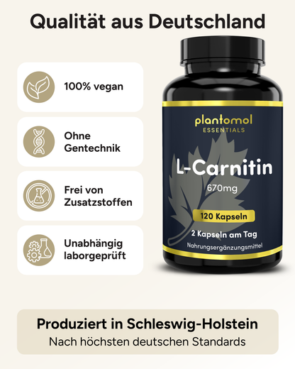 L-Carnitin - 670mg pro Tag