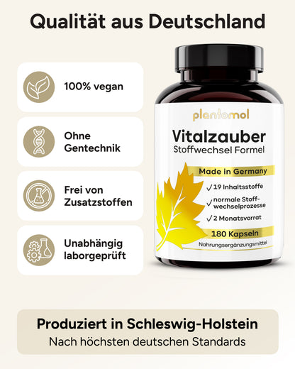 Vitalzauber - Stoffwechsel Komplex