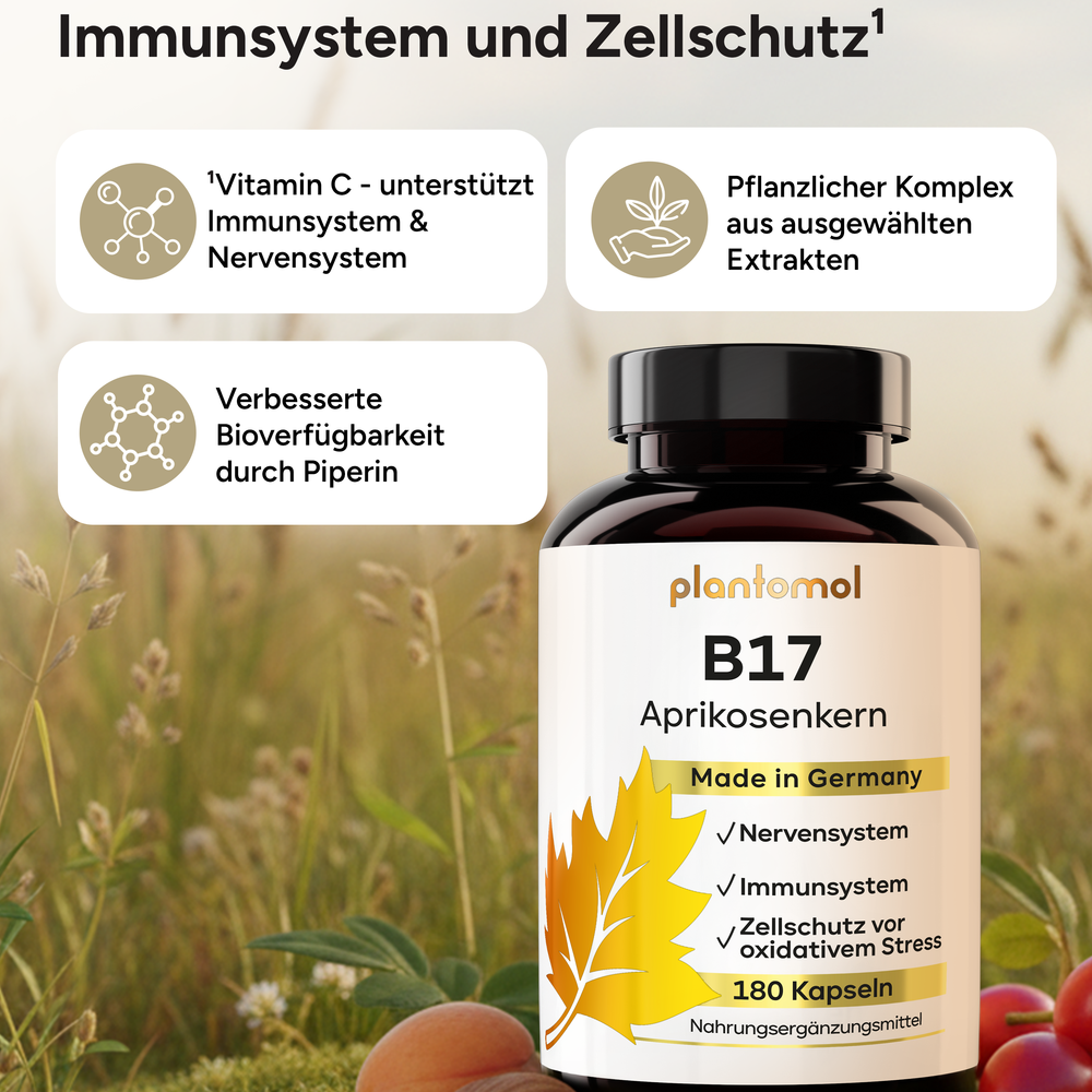 
                      
                        B17 - 1100mg Aprikosenkern-Extrakt pro Tag und Vitamin C
                      
                    